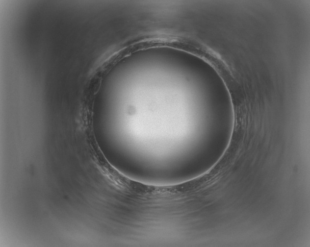 X0000073831448200608101151