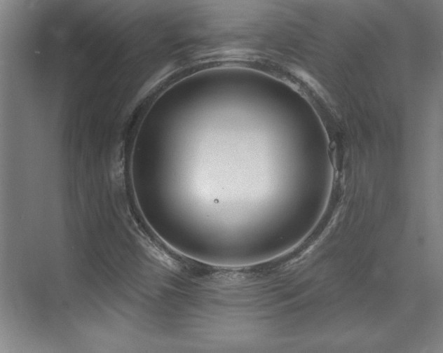 X0000073831450200608101151