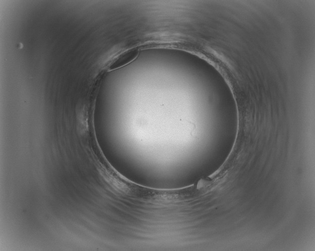 X0000073831451200608101151