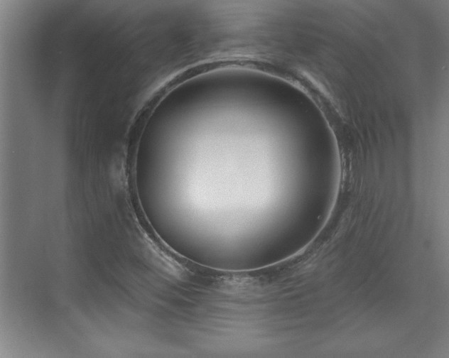 X0000073831452200608101151