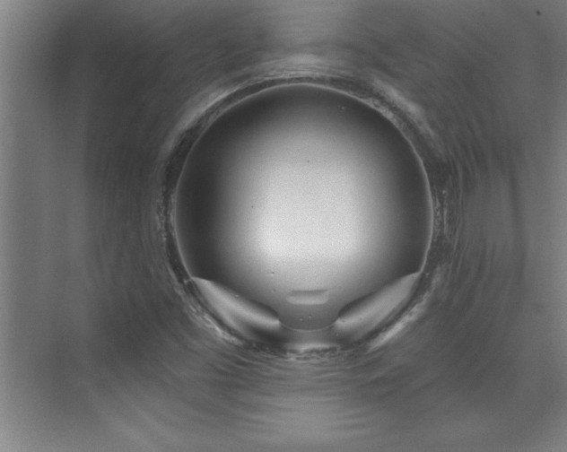 X0000073831453200608101151