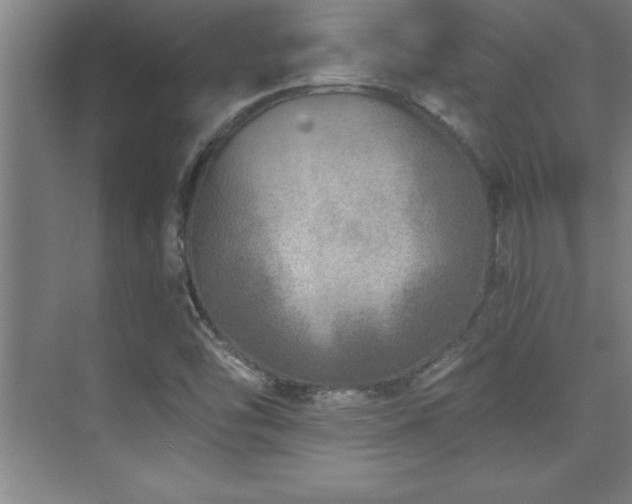 X0000073831454200608101151