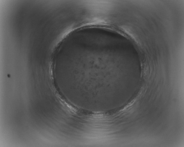 X0000073831455200608101151