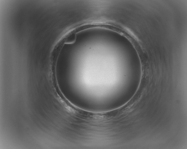 X0000073831456200608101151