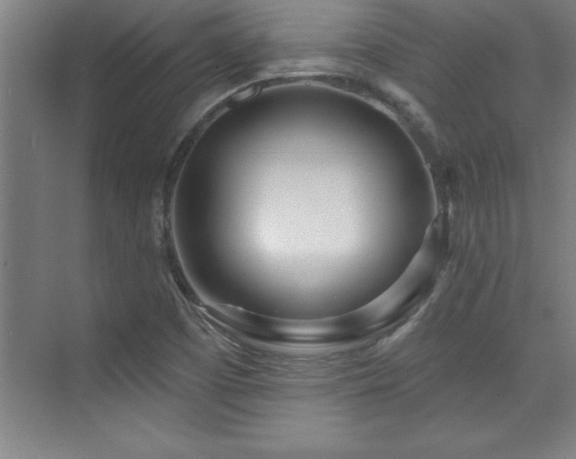 X0000073831457200608101151