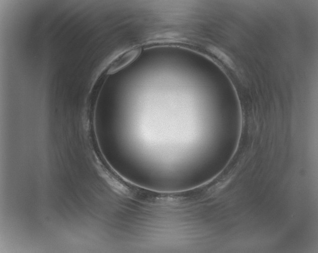 X0000073831458200608101151