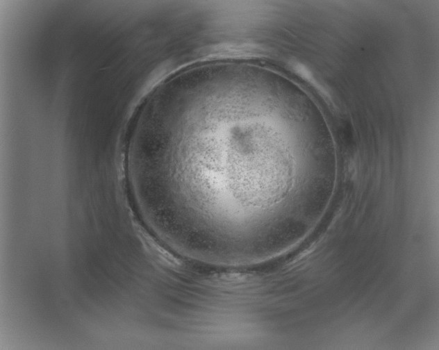 X0000073831459200608101151