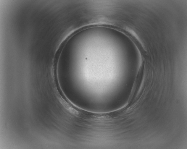 X0000073831460200608101151