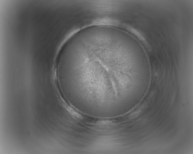 X0000073831462200608101151