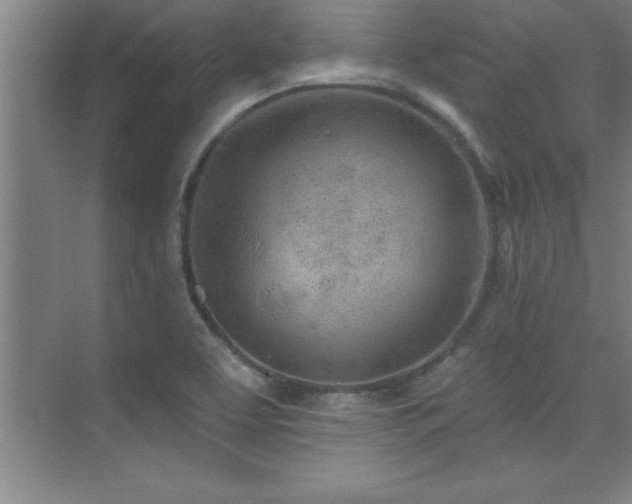 X0000073831463200608101151