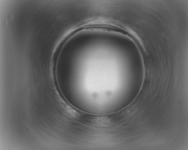 X0000073831464200608101151