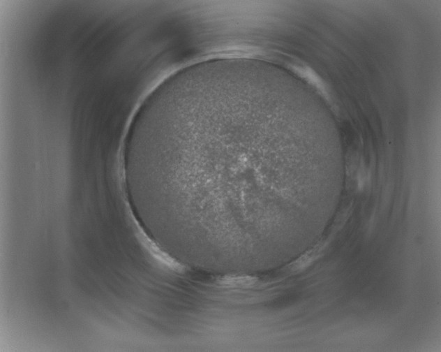 X0000073831466200608101151