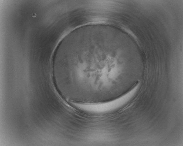 X0000073831467200608101150