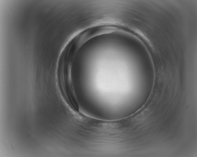 X0000073831469200608101150