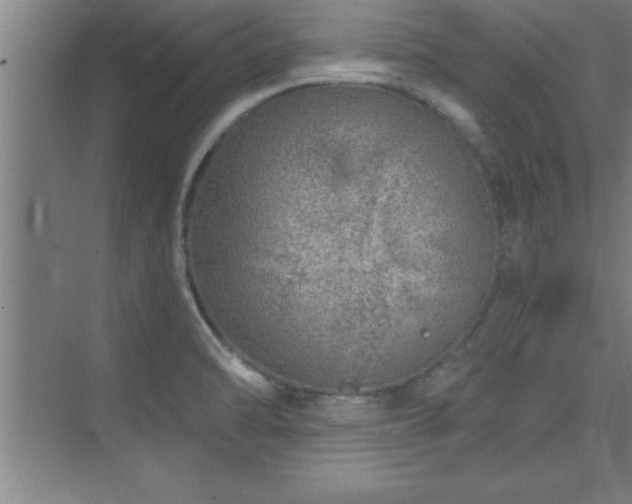 X0000073831470200608101150