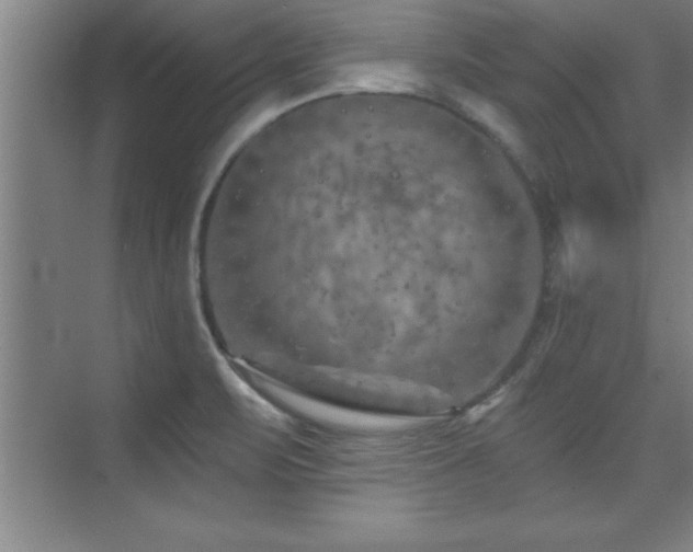 X0000073831471200608101150