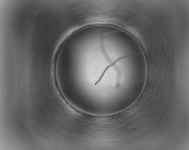 X0000073831472200608101150