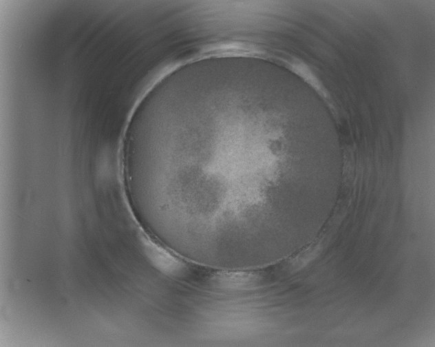 X0000073831474200608101150