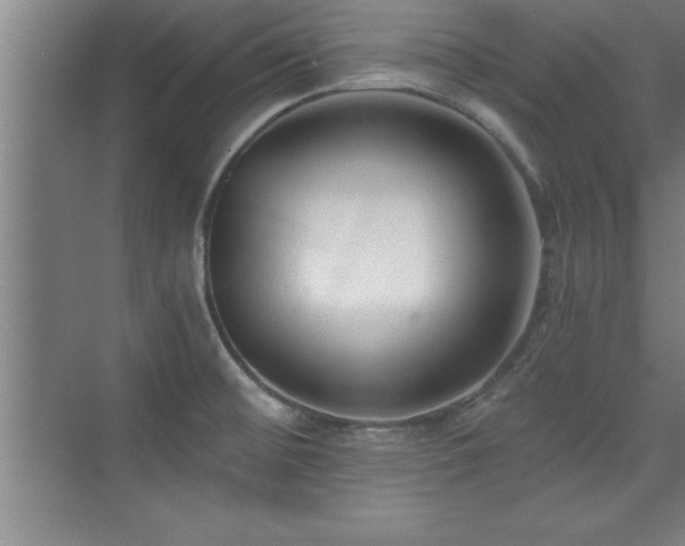 X0000073831476200608101150