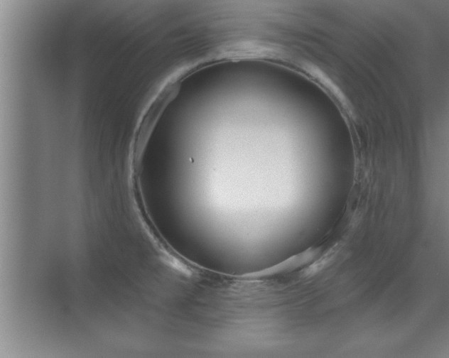 X0000073831477200608101150