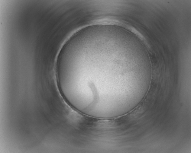 X0000073831478200608101150