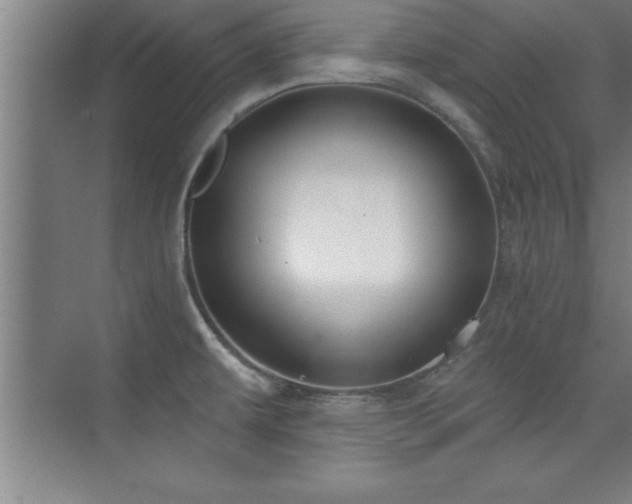 X0000073831479200608101150