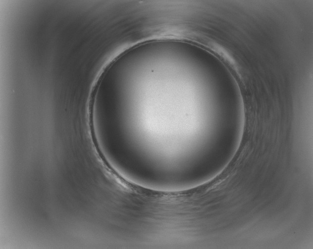 X0000073831480200608101150