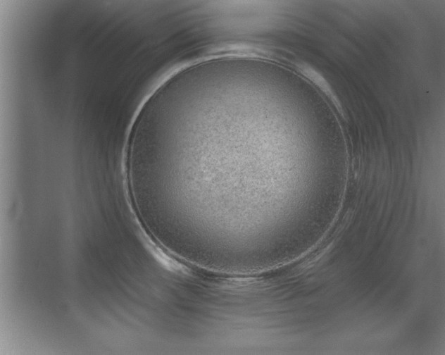 X0000073831482200608101150