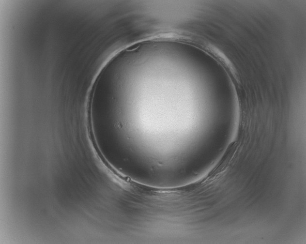 X0000073831483200608101150