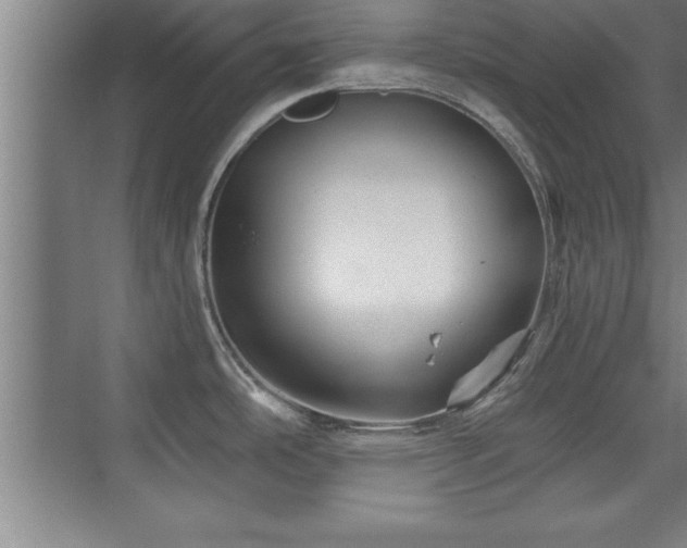 X0000073831486200608101150