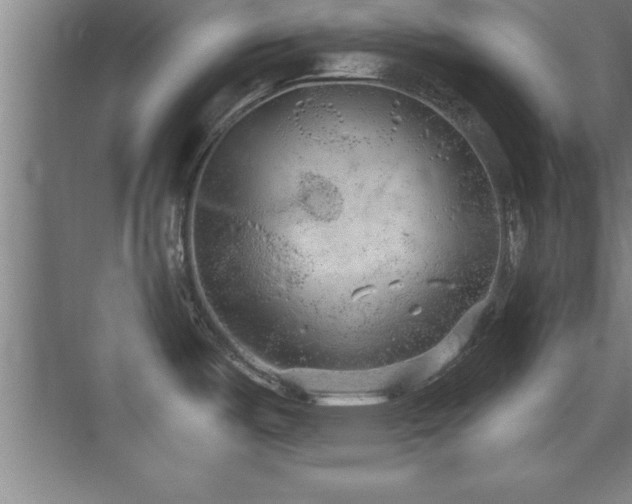 X0000073831487200608101150