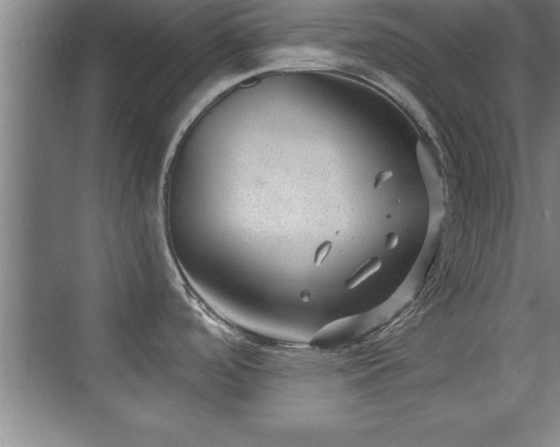 X0000073831488200608101150