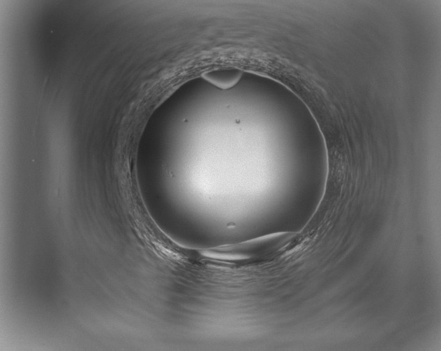 X0000073831489200608101149