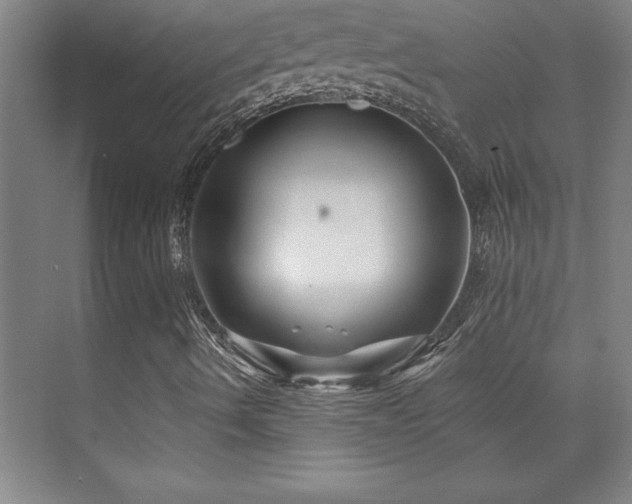 X0000073831490200608101149