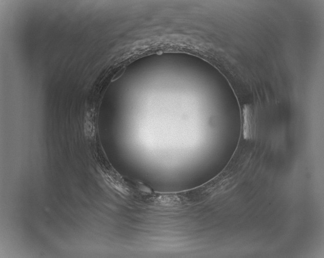 X0000073831491200608101149