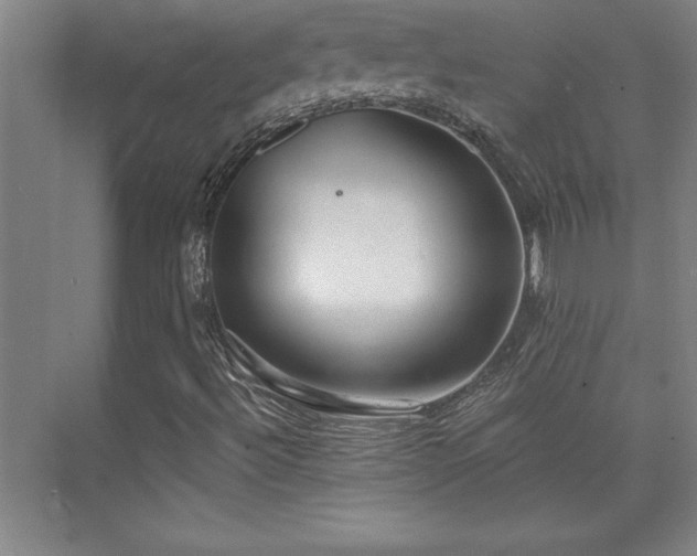 X0000073831492200608101149