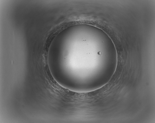 X0000073831493200608101149