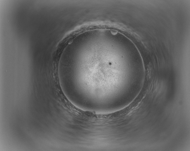 X0000073831494200608101149