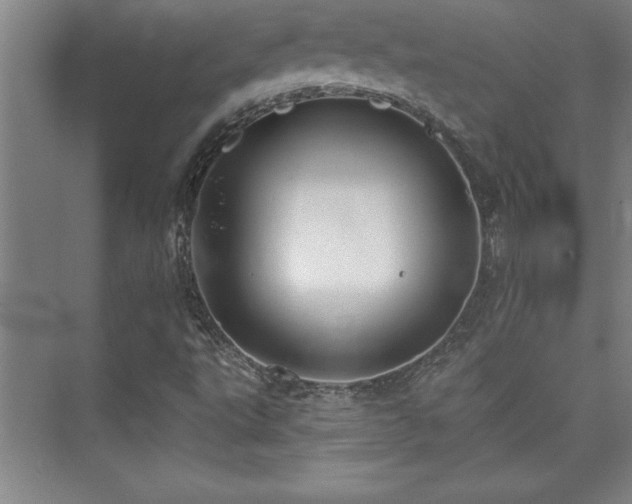 X0000073831495200608101149