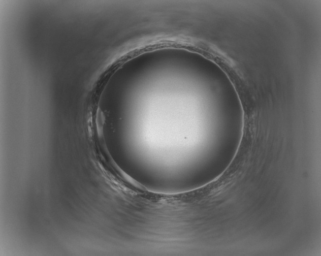 X0000073831496200608101149