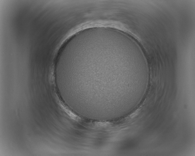 X0000073831498200608101149