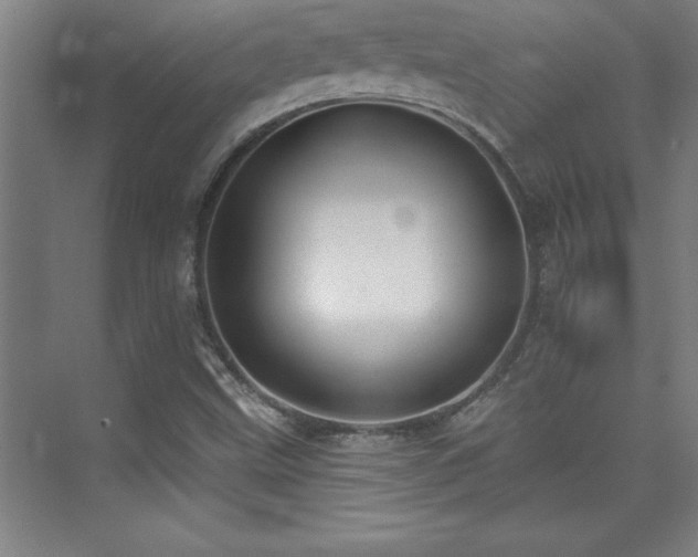 X0000073831499200608101149