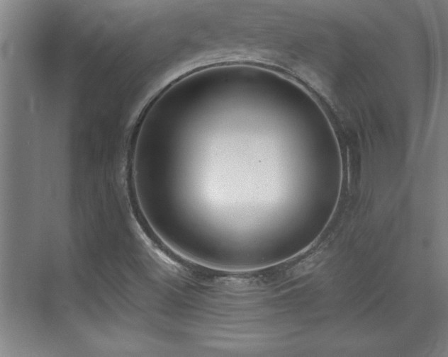 X0000073831500200608101150