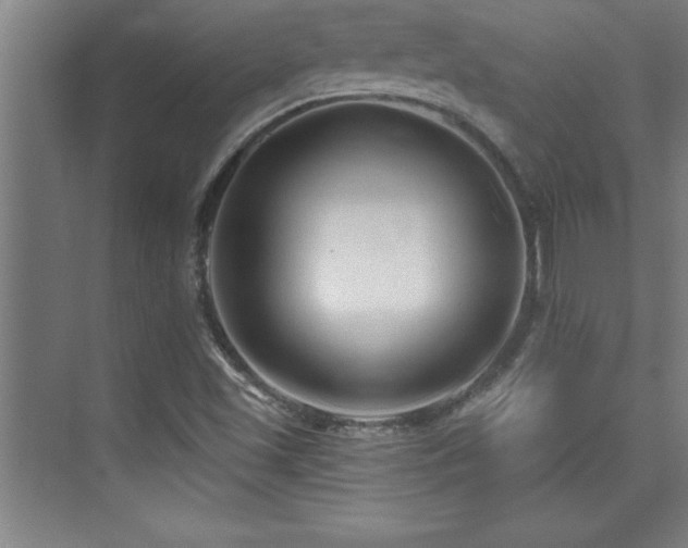 X0000073831501200608101150