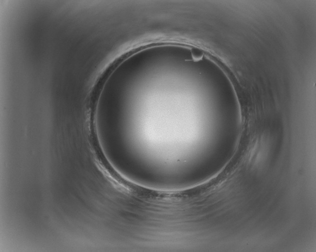 X0000073831503200608101150