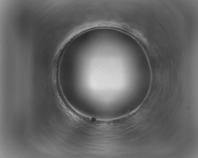 X0000073831504200608101150