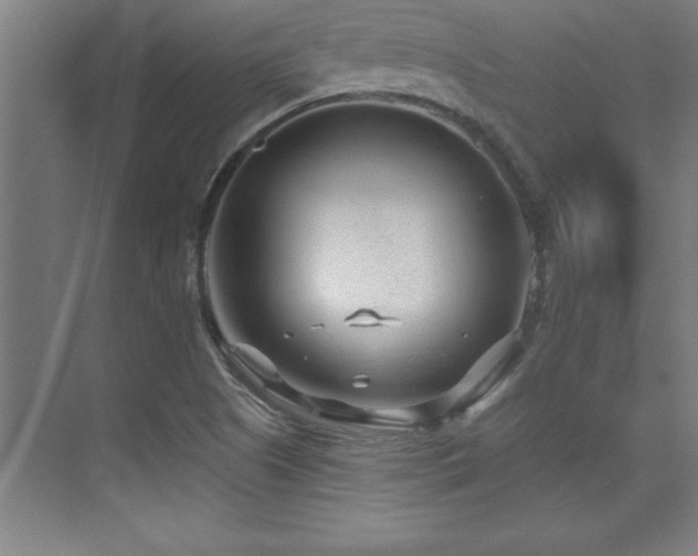 X0000073831505200608101150