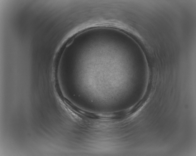 X0000073831506200608101150