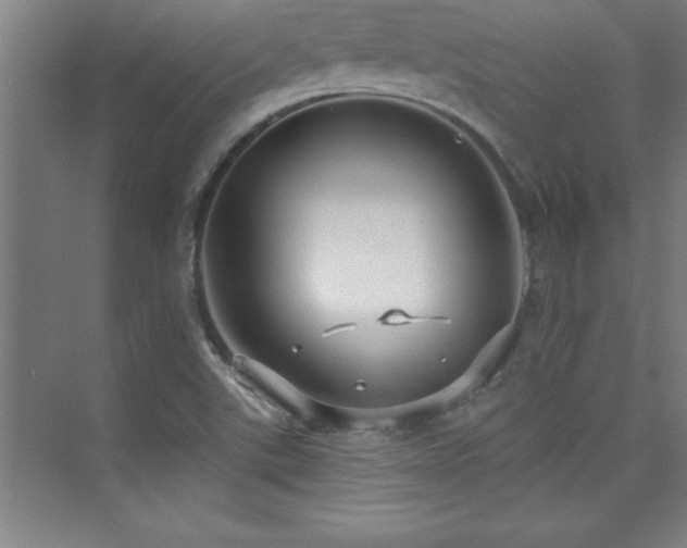 X0000073831507200608101150