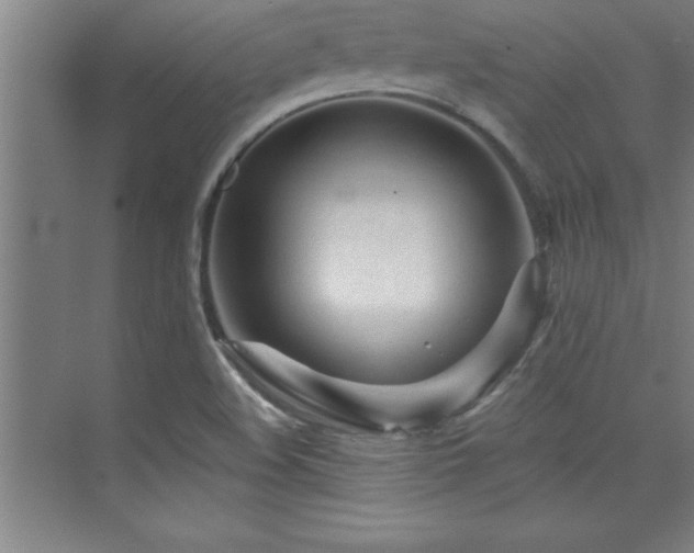 X0000073831508200608101150